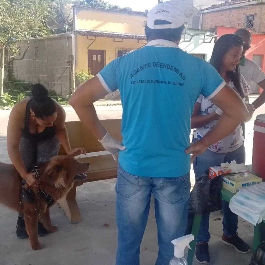 Camacã: Prefeitura realizou vacinação contra a raiva em cães e gatos